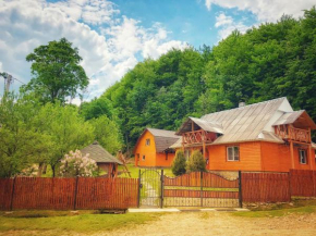 Cottage v Gorakh  Изки